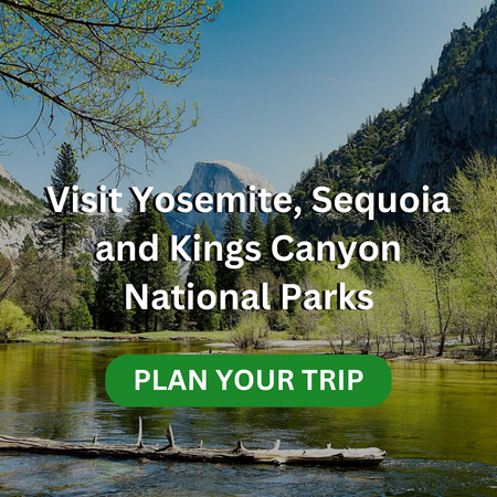 Plan Yosemite Trip
